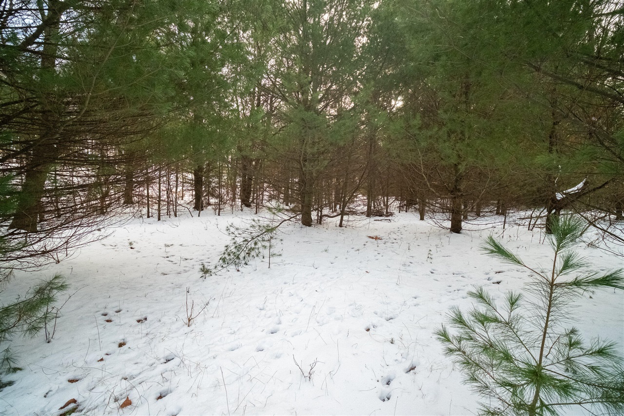 0 Erdman Road Onekama, MI 49675 - Photo 69 of 69 Gallery Image 69