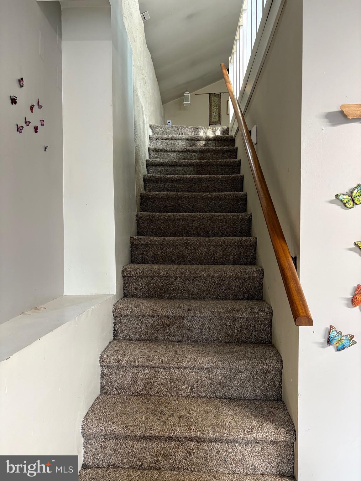 109 Walter Road Chalfont, PA 18914 - Photo 4 of 11