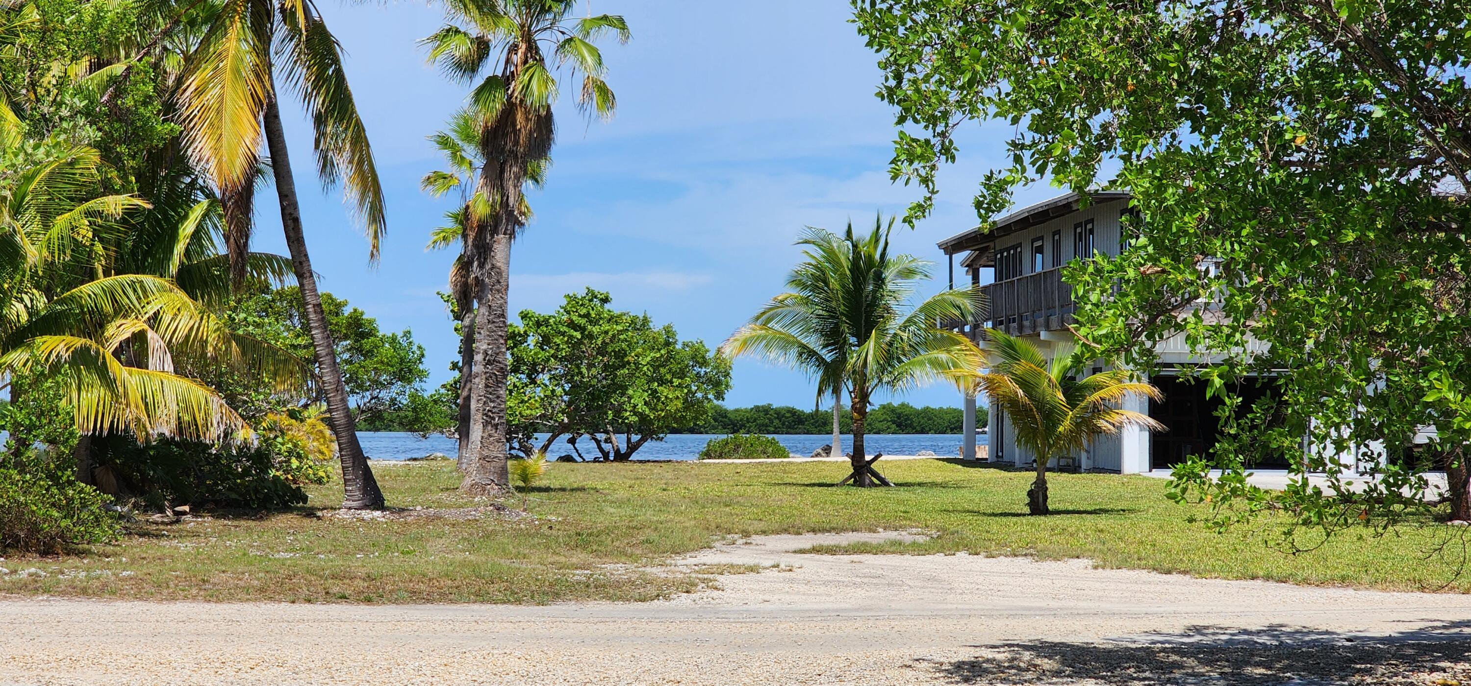 5 Coral Way Big Pine Key, FL 33043 - Photo 13 of 19 a view of a park with palm trees