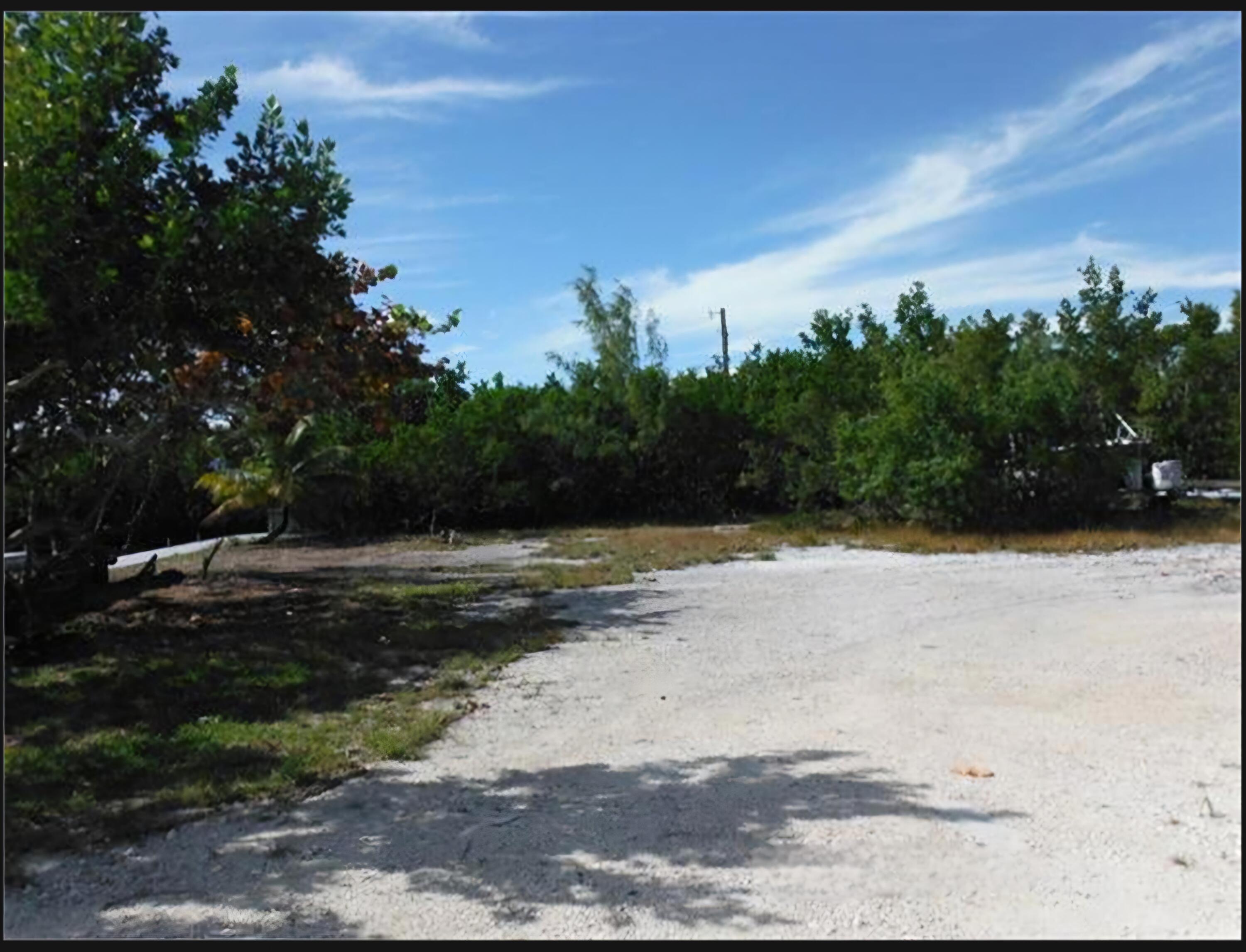 5 Coral Way Big Pine Key, FL 33043 - Photo 2 of 19 a view of a yard with plants and trees