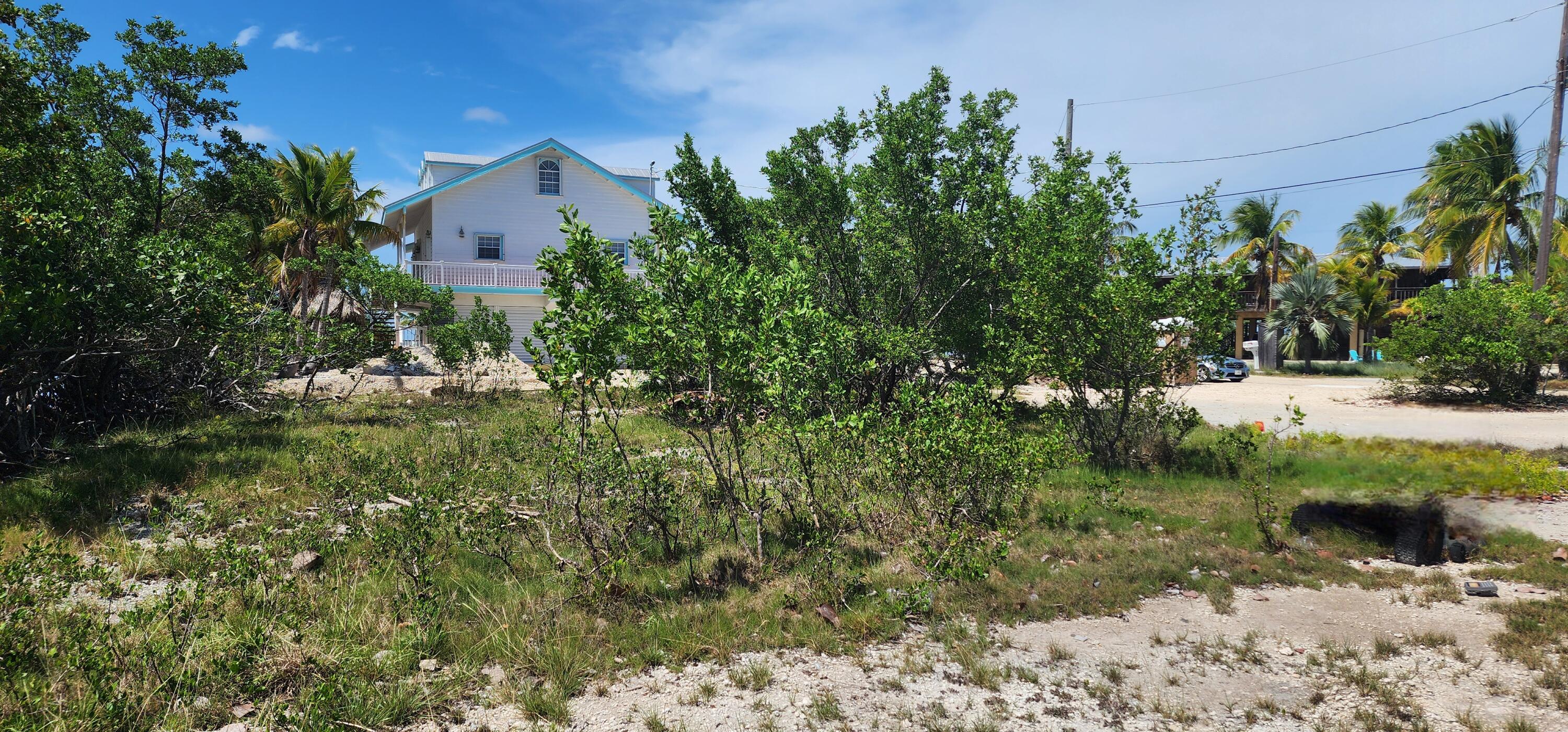 5 Coral Way Big Pine Key, FL 33043 - Photo 7 of 19 a view of a yard with plants and large trees