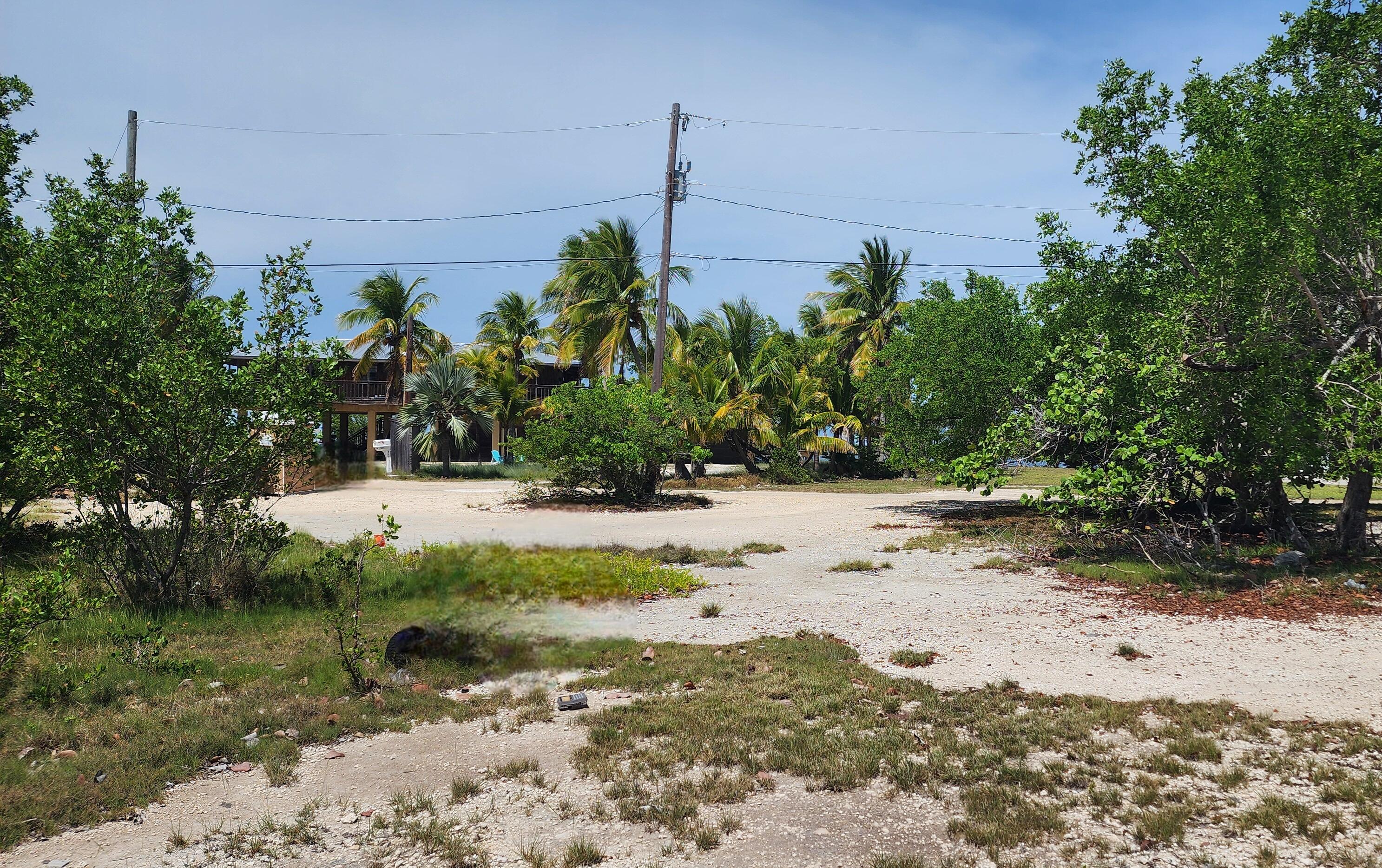 5 Coral Way Big Pine Key, FL 33043 - Photo 9 of 19 a view of a yard with plants and trees