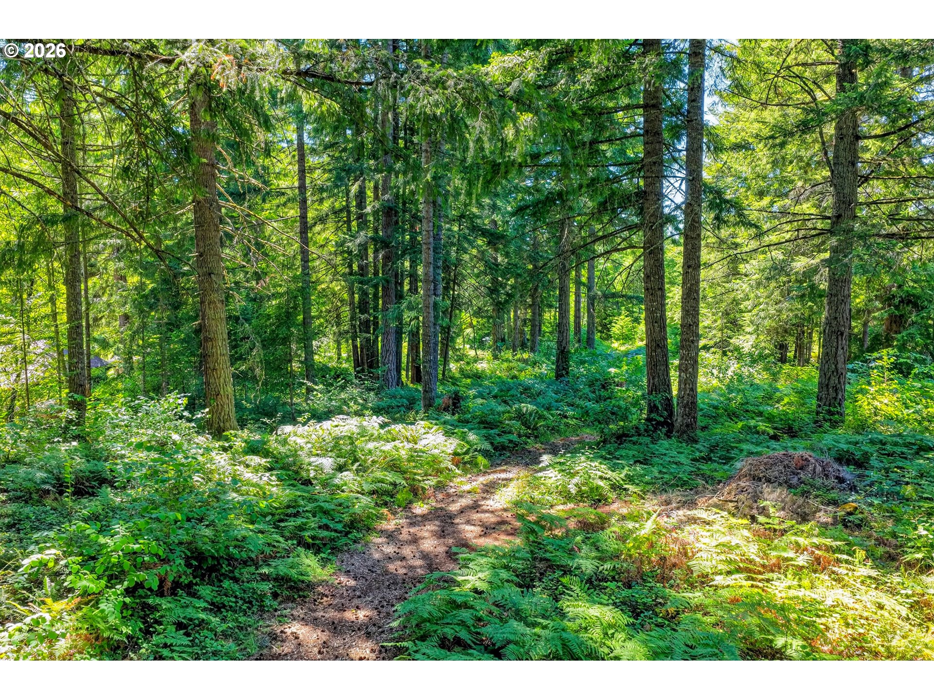 27241 South Pederson Road Estacada, OR 97023 - Photo 38 of 43 Acreage