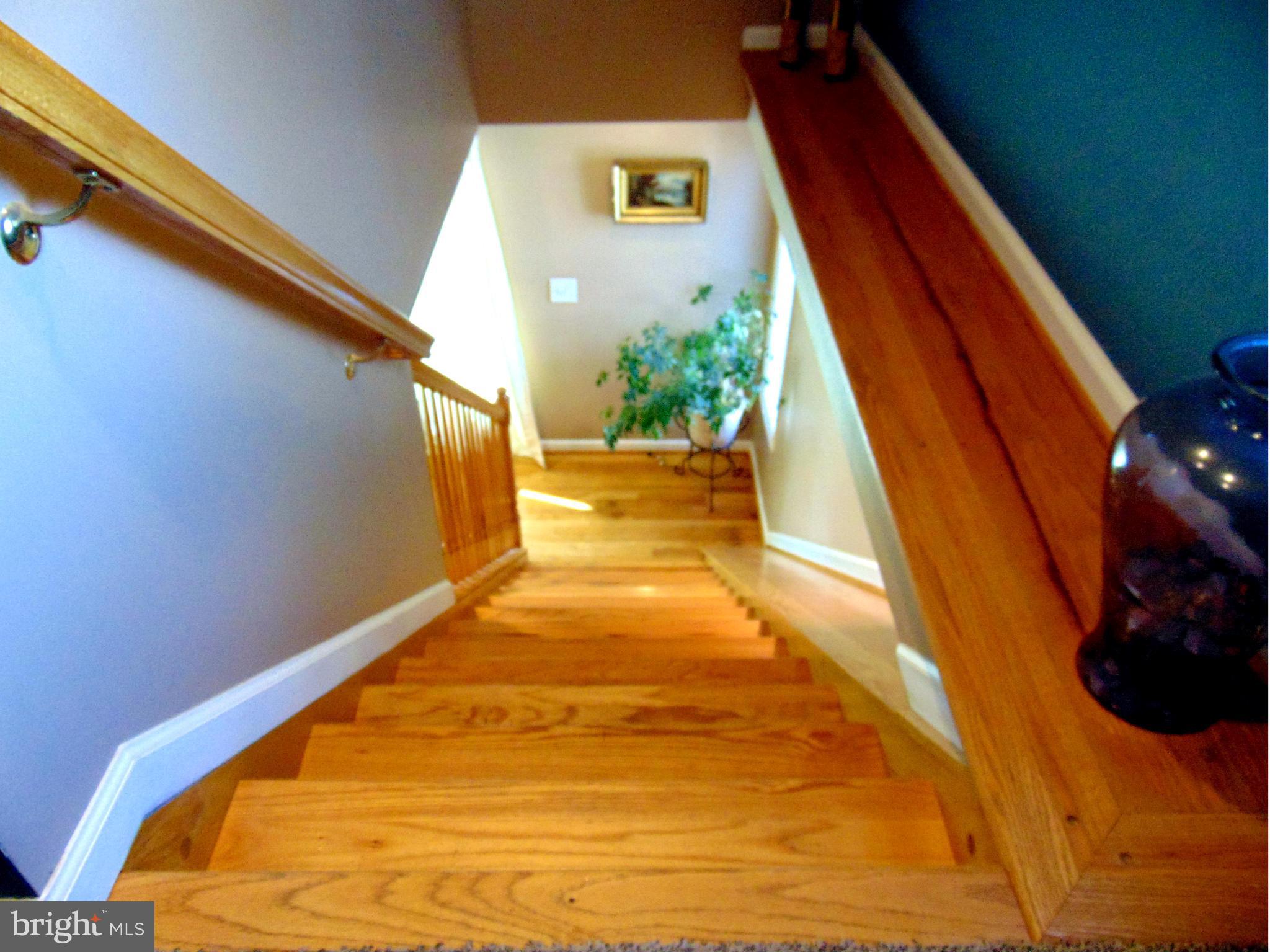241 Bentons Pleasure Road Chester, MD 21619 - Photo 13 of 30 Interior (General)