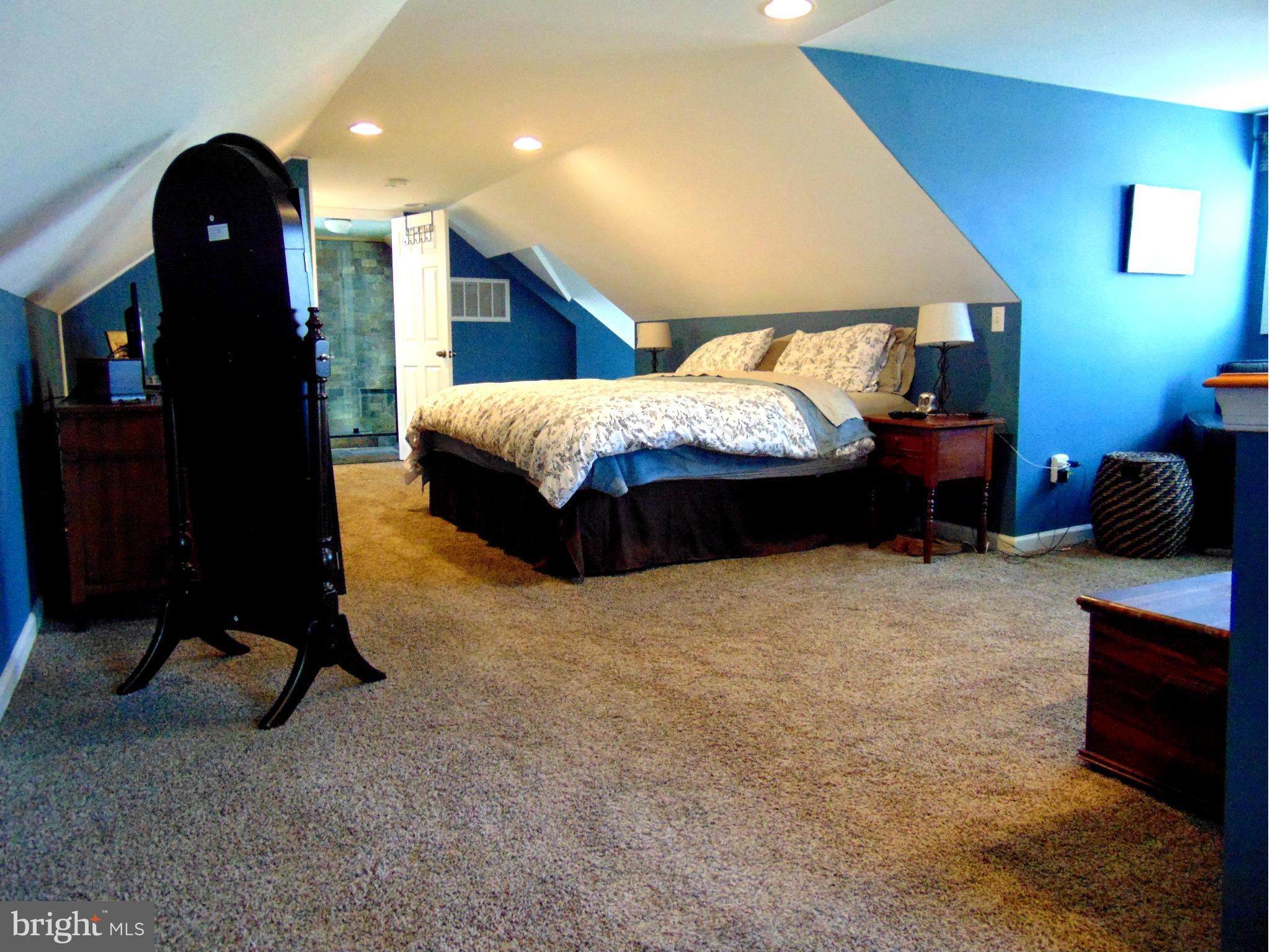 241 Bentons Pleasure Road Chester, MD 21619 - Photo 14 of 30 Bedroom (Master)