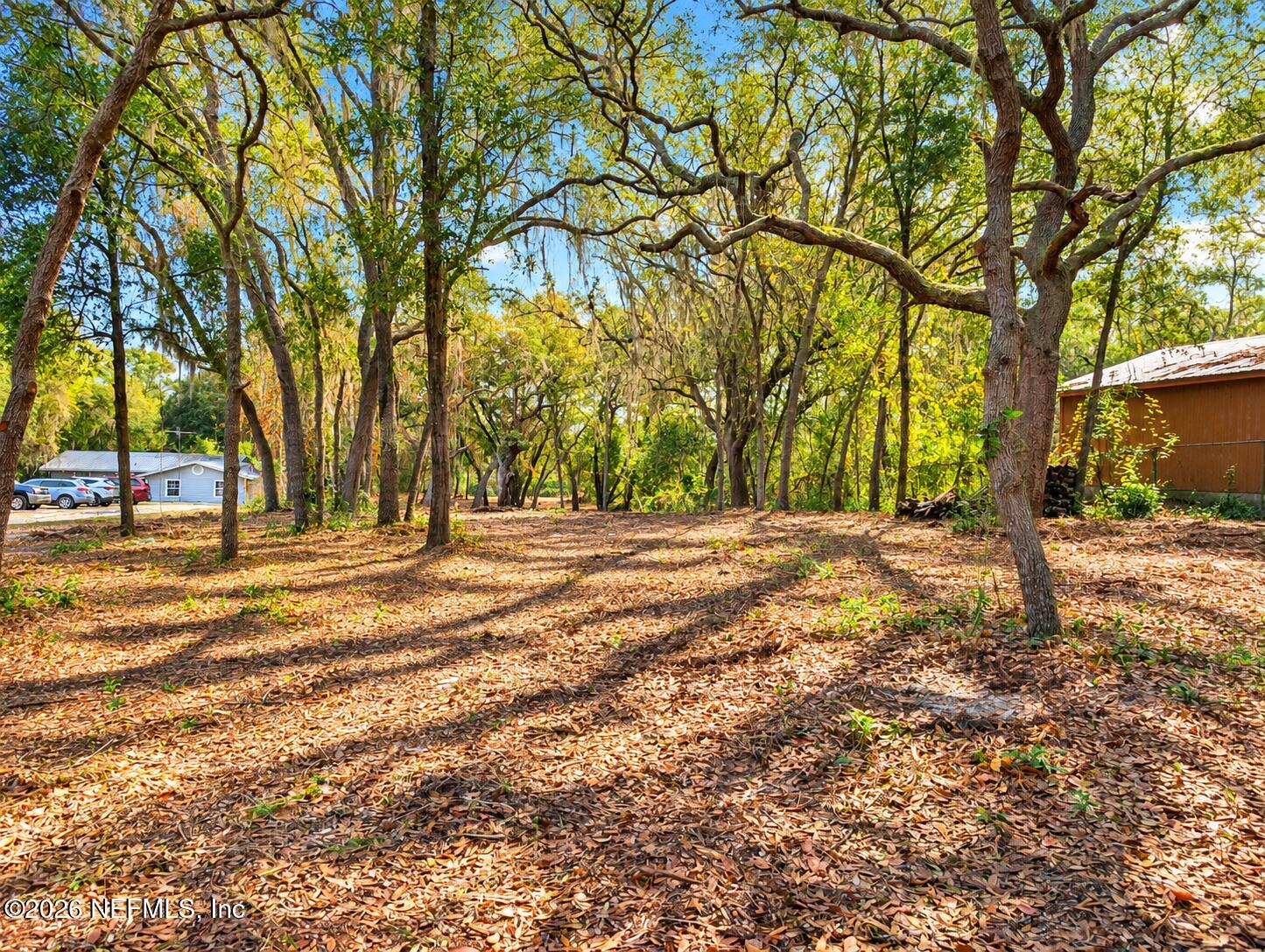 7043 Gatorbone Road Keystone Heights, FL 32656 - Photo 4 of 5 4b