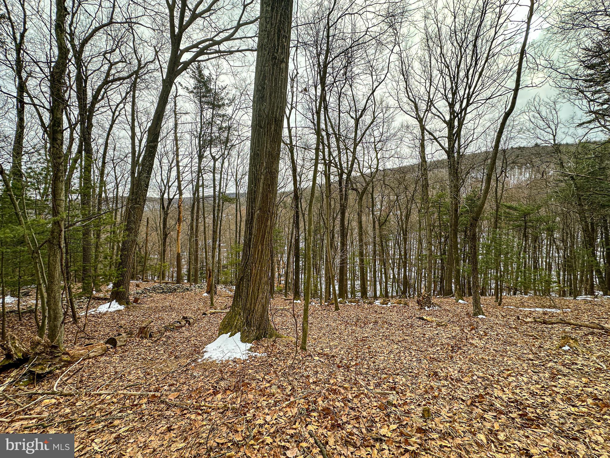 0 Chambersburg Road Orrtanna, PA 17353 - Photo 29 of 43 a view of outdoor space with trees