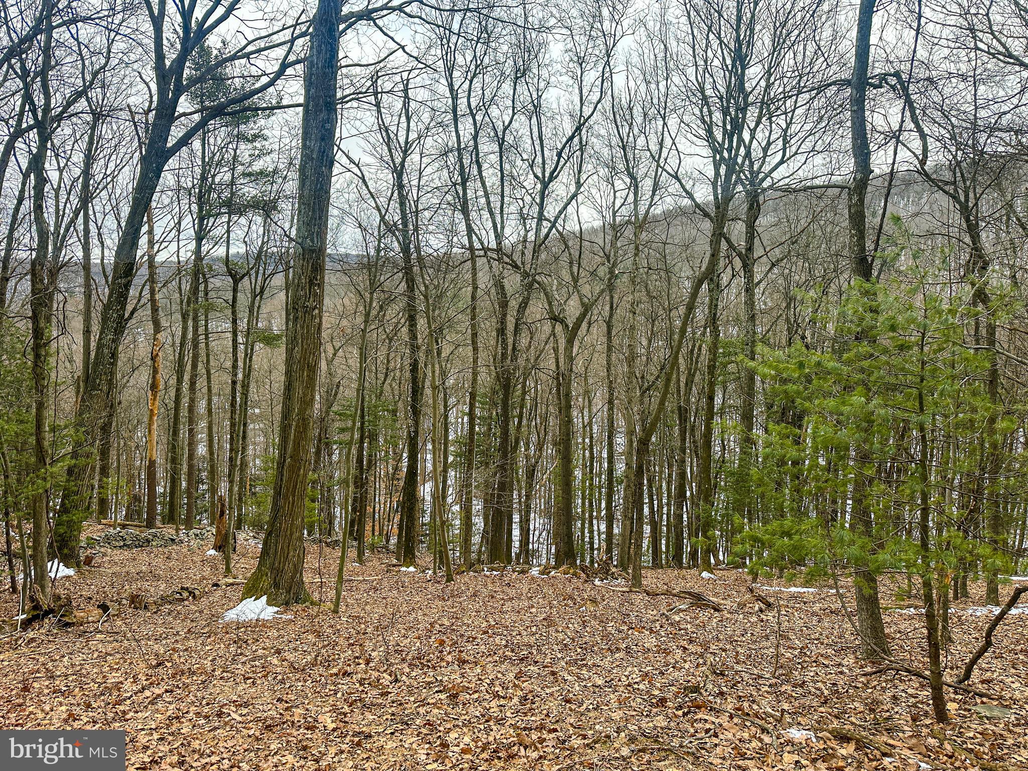 0 Chambersburg Road Orrtanna, PA 17353 - Photo 32 of 43 a view of a backyard of a house