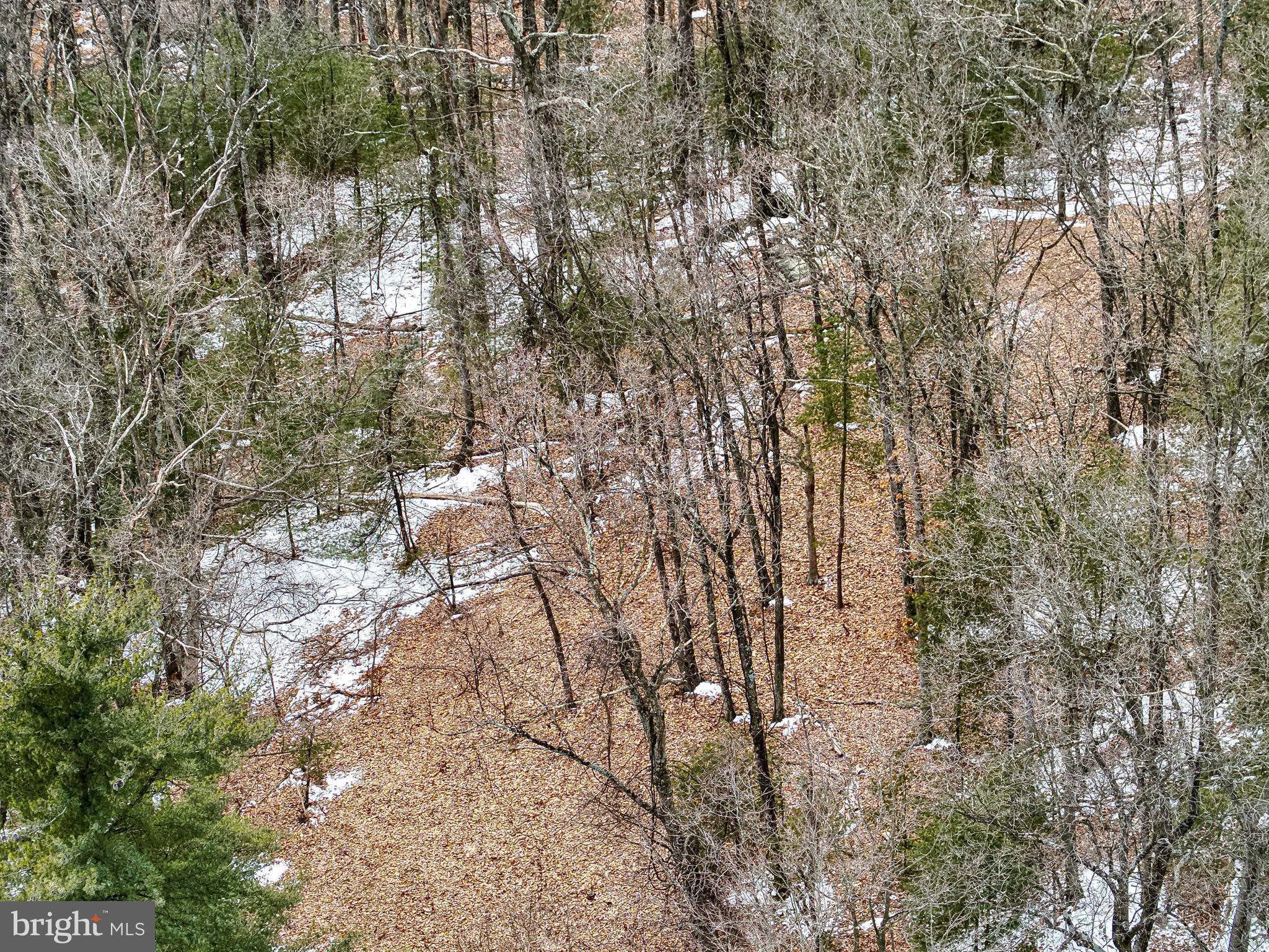 0 Chambersburg Road Orrtanna, PA 17353 - Photo 36 of 43 a view of yard