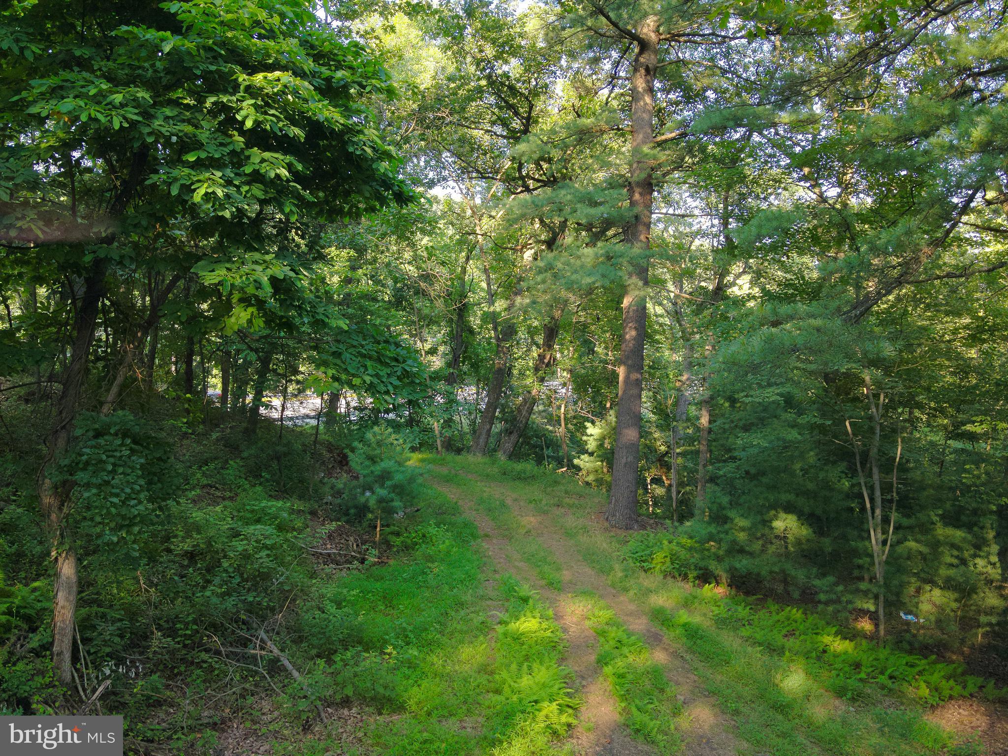 0 Chambersburg Road Orrtanna, PA 17353 - Photo 6 of 43 a view of a forest with trees