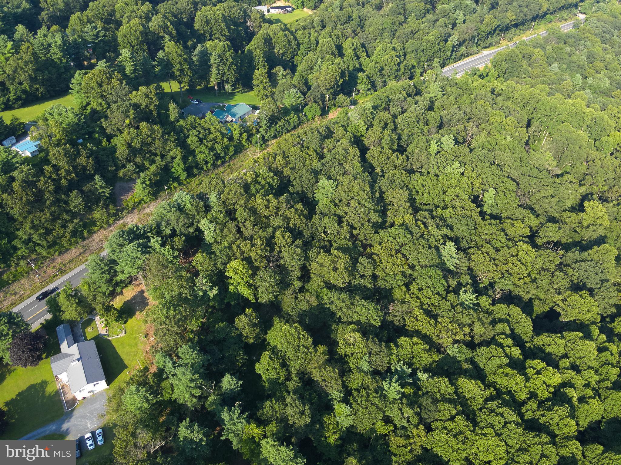 0 Chambersburg Road Orrtanna, PA 17353 - Photo 9 of 43 a view of a lush green forest