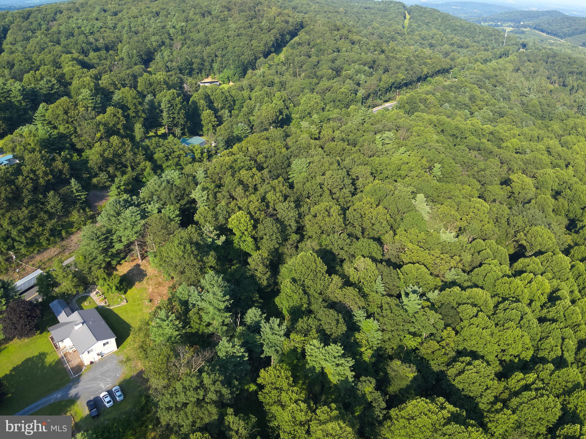 0 Chambersburg Road Orrtanna, PA 17353 - Photo 10 of 43 a view of a lush green forest with lots of trees