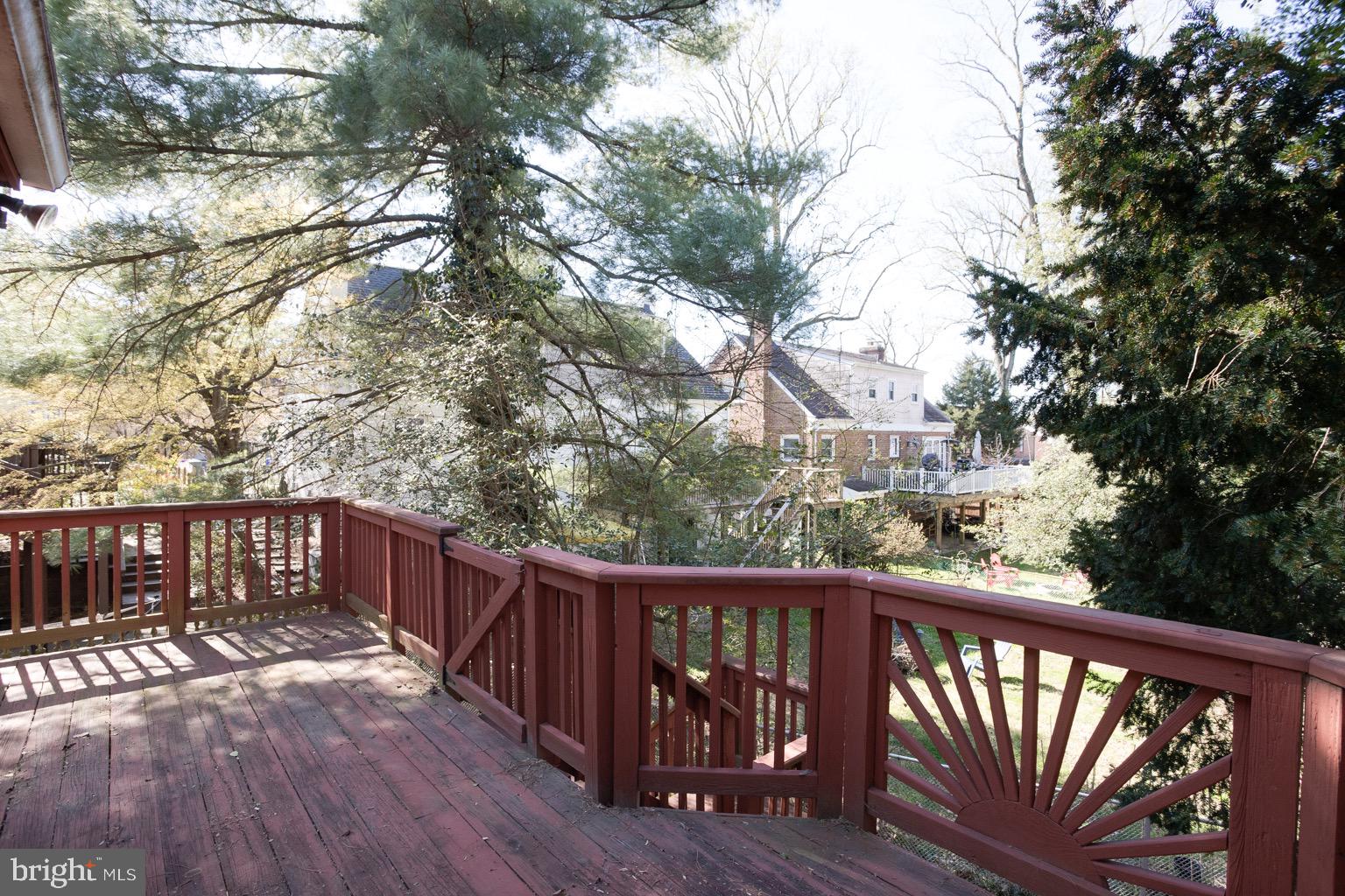 8802 2nd Avenue Silver Spring, MD 20910 - Photo 63 of 67 More trees = cleaner air!