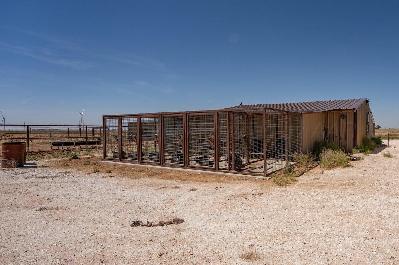 693 County Road 24 Muleshoe, TX 79347 - Photo 47 of 98 Kennel