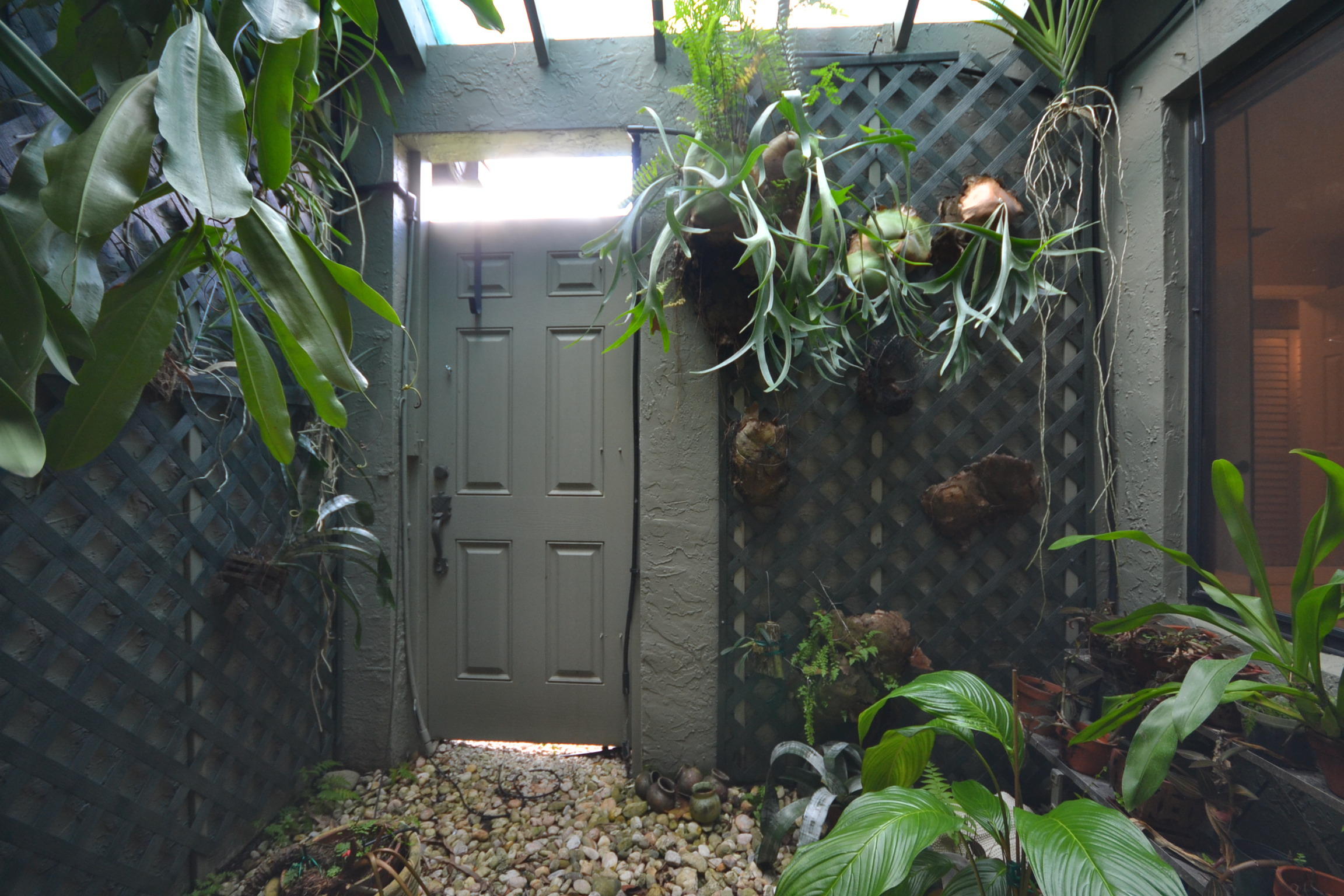 11079 Cloverleaf Circle Boca Raton, FL 33428 - Photo 10 of 44 Courtyard