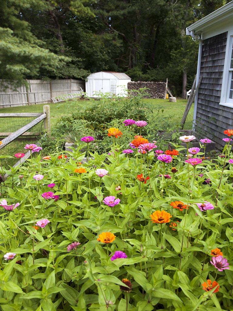 4 Windsor Road Sandwich, MA 02563 - Photo 8 of 33 8
