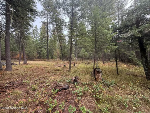 $119,900 | 260 Deerhaven Lane, Fernwood, ID 83830