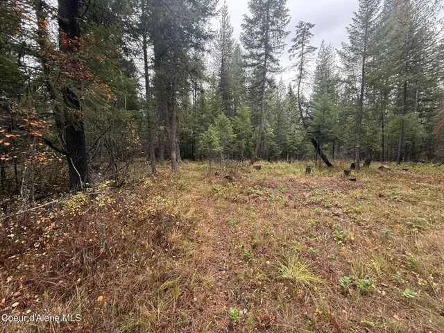 $119,900 | 260 Deerhaven Lane, Fernwood, ID 83830