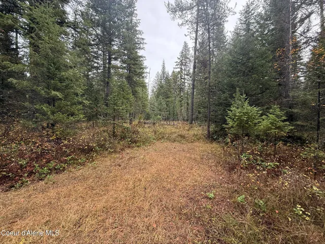 $119,900 | 260 Deerhaven Lane, Fernwood, ID 83830