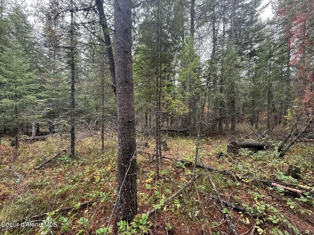 $119,900 | 260 Deerhaven Lane, Fernwood, ID 83830