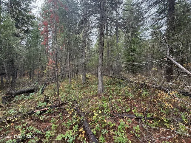 $119,900 | 260 Deerhaven Lane, Fernwood, ID 83830