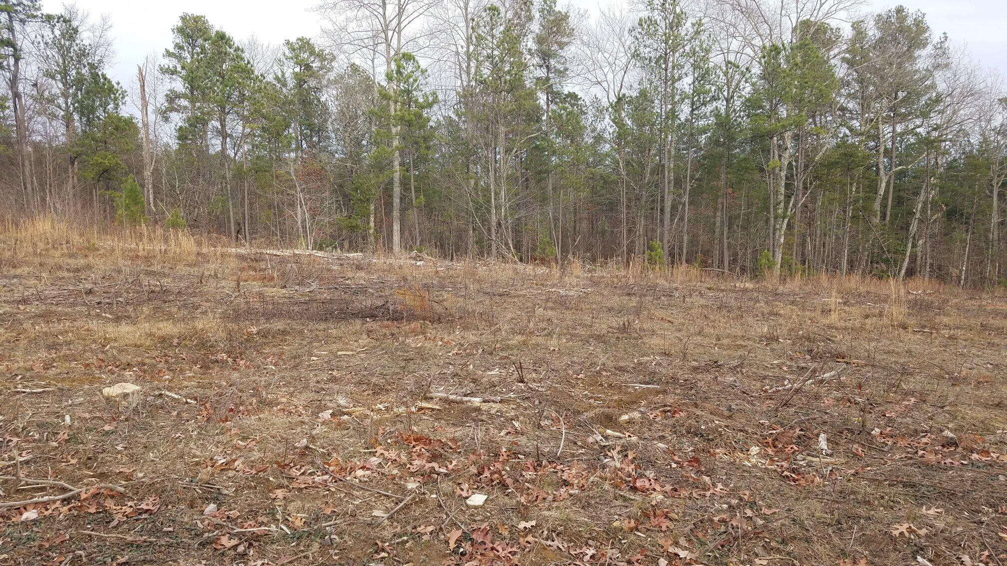 17 South R 399, Unit 17 Dunlap, TN 37327 - Photo 1 of 28 123_1