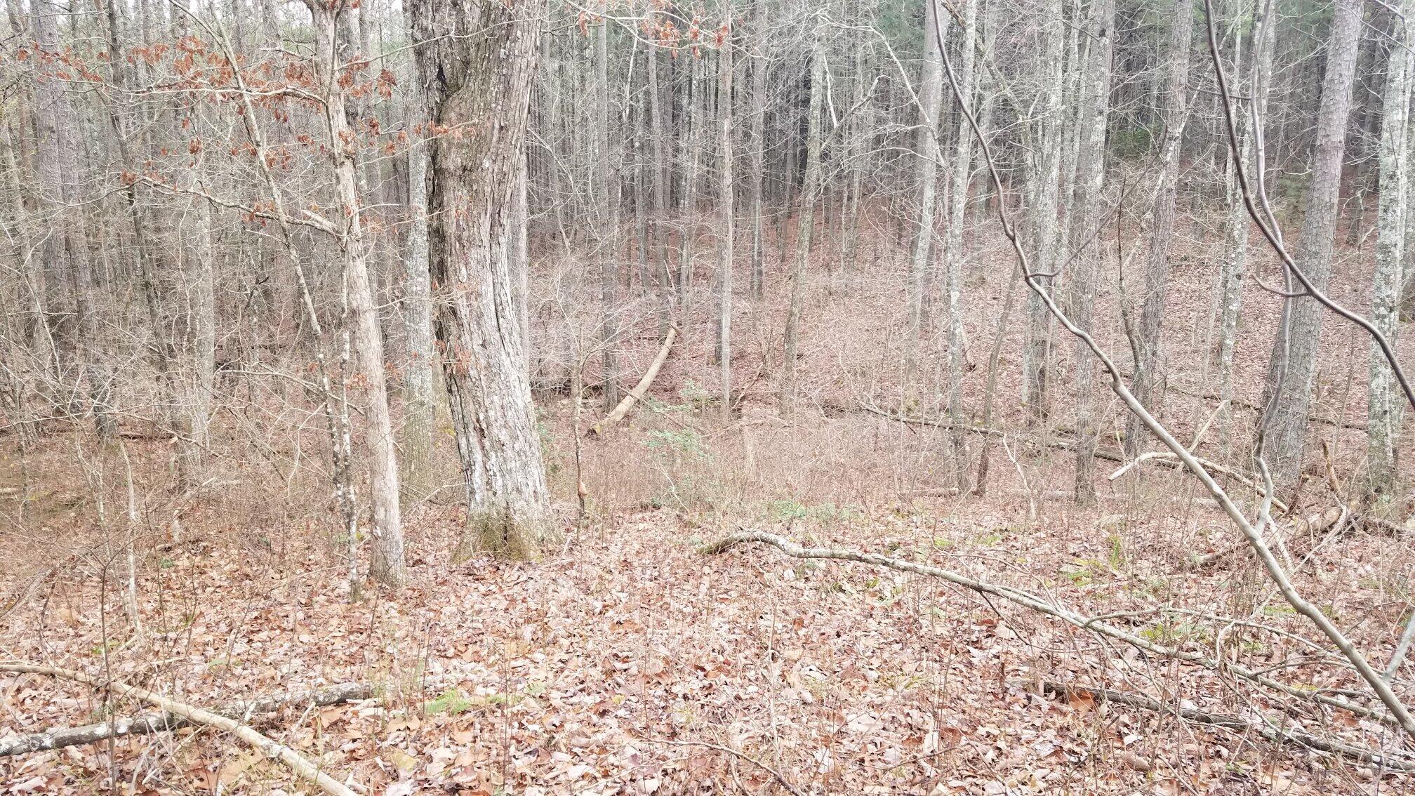17 South R 399, Unit 17 Dunlap, TN 37327 - Photo 18 of 28 123_1