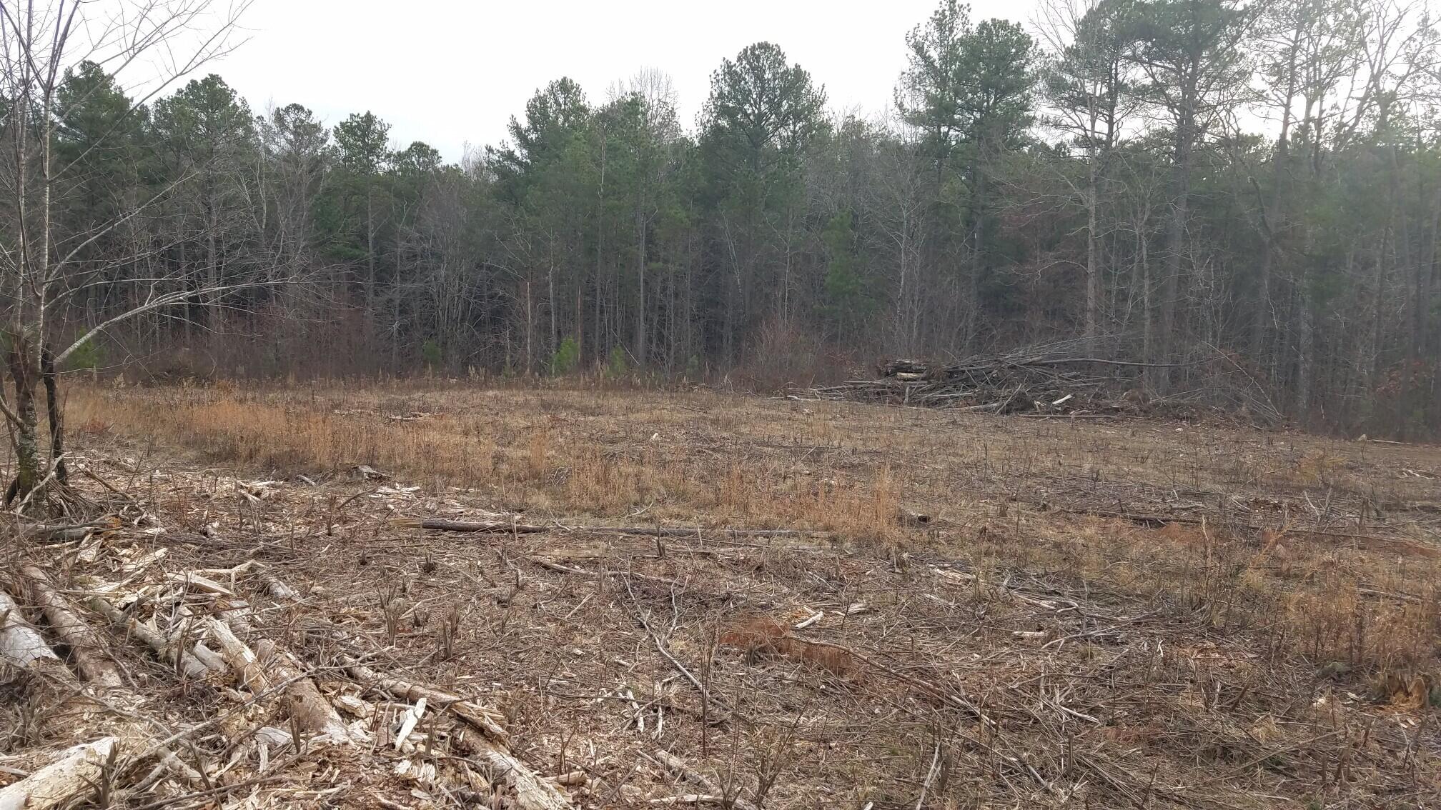 17 South R 399, Unit 17 Dunlap, TN 37327 - Photo 24 of 28 123_1