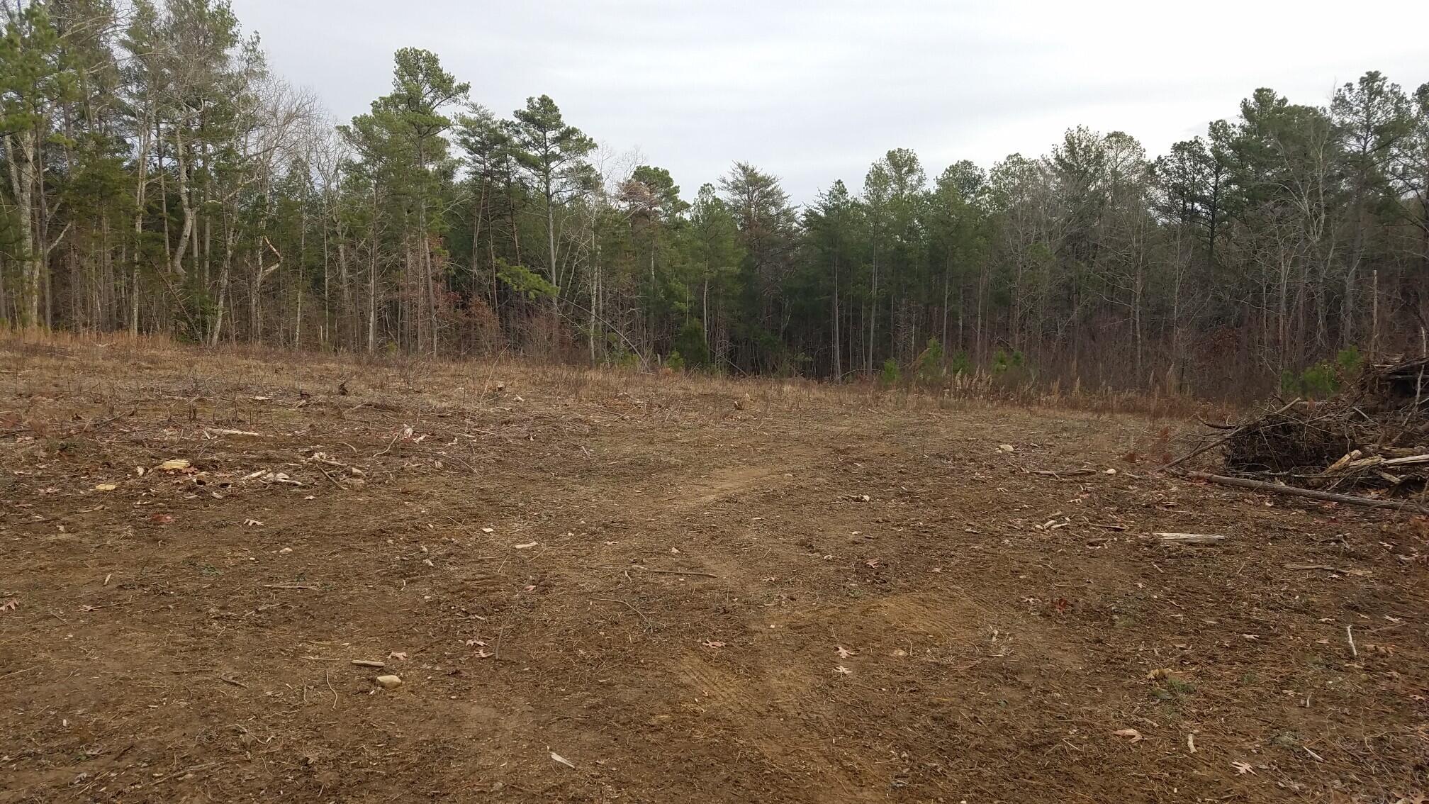 17 South R 399, Unit 17 Dunlap, TN 37327 - Photo 26 of 28 123_1