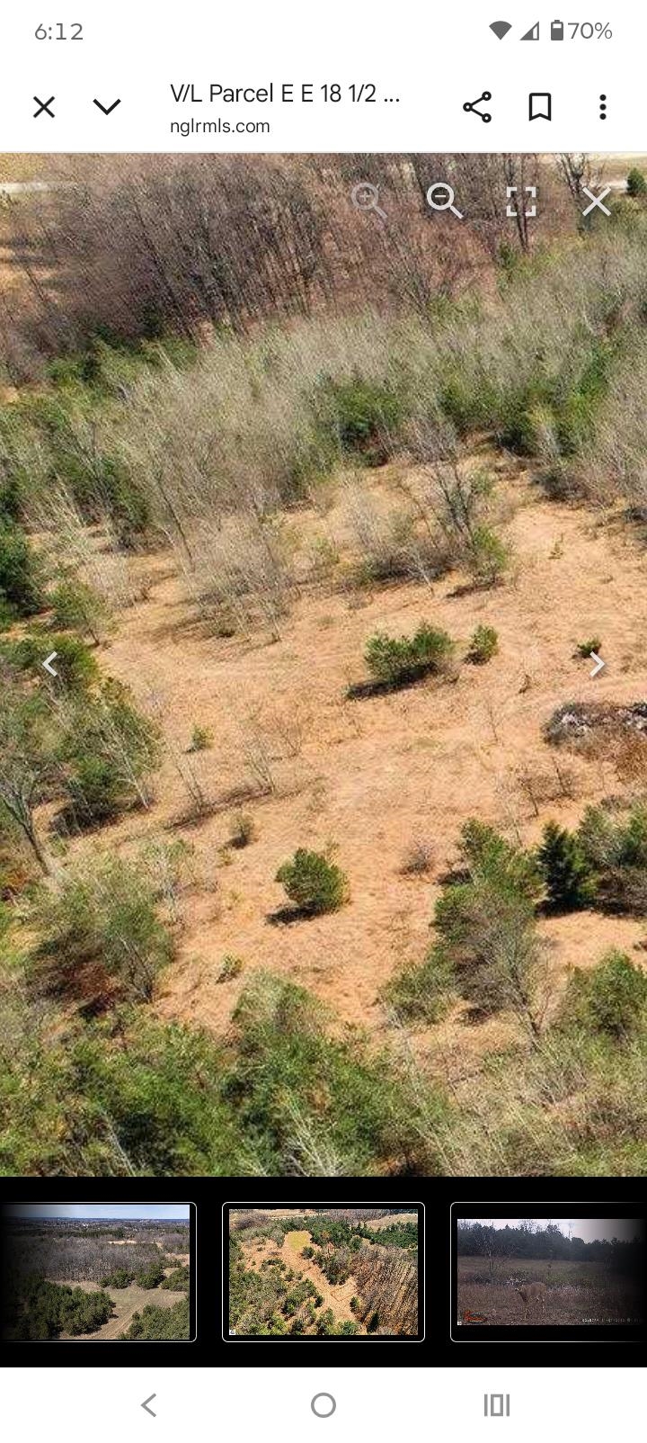 18 East 1/2 Road Manton, MI 49663 - Photo 12 of 24