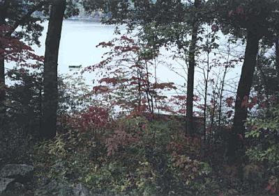 58054 East Clear Lake Road Three Rivers, MI 49093 - Photo 3 of 6 Additional Photo