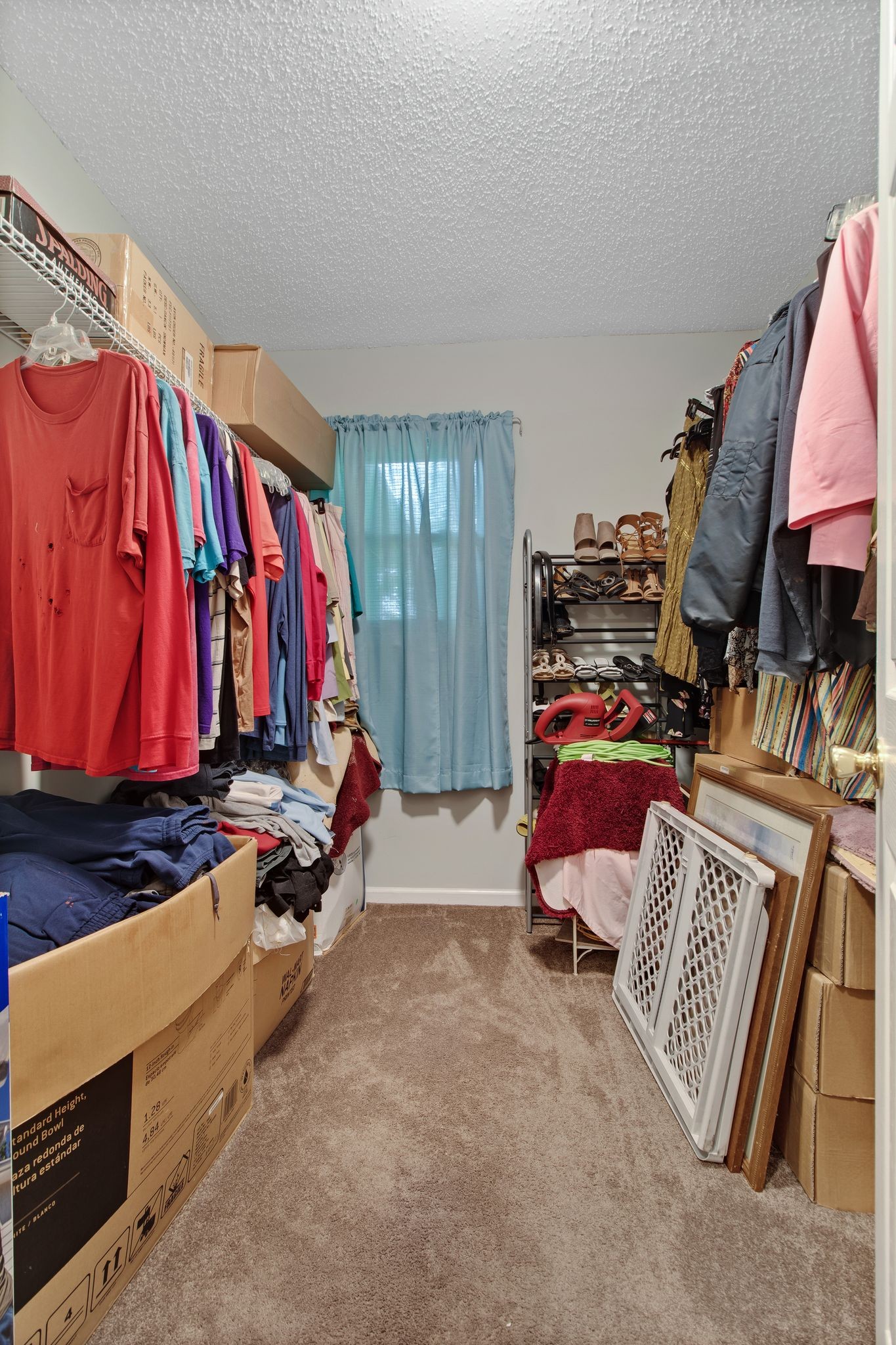 5317 Almaville Road Smyrna, TN 37167 - Photo 23 of 31