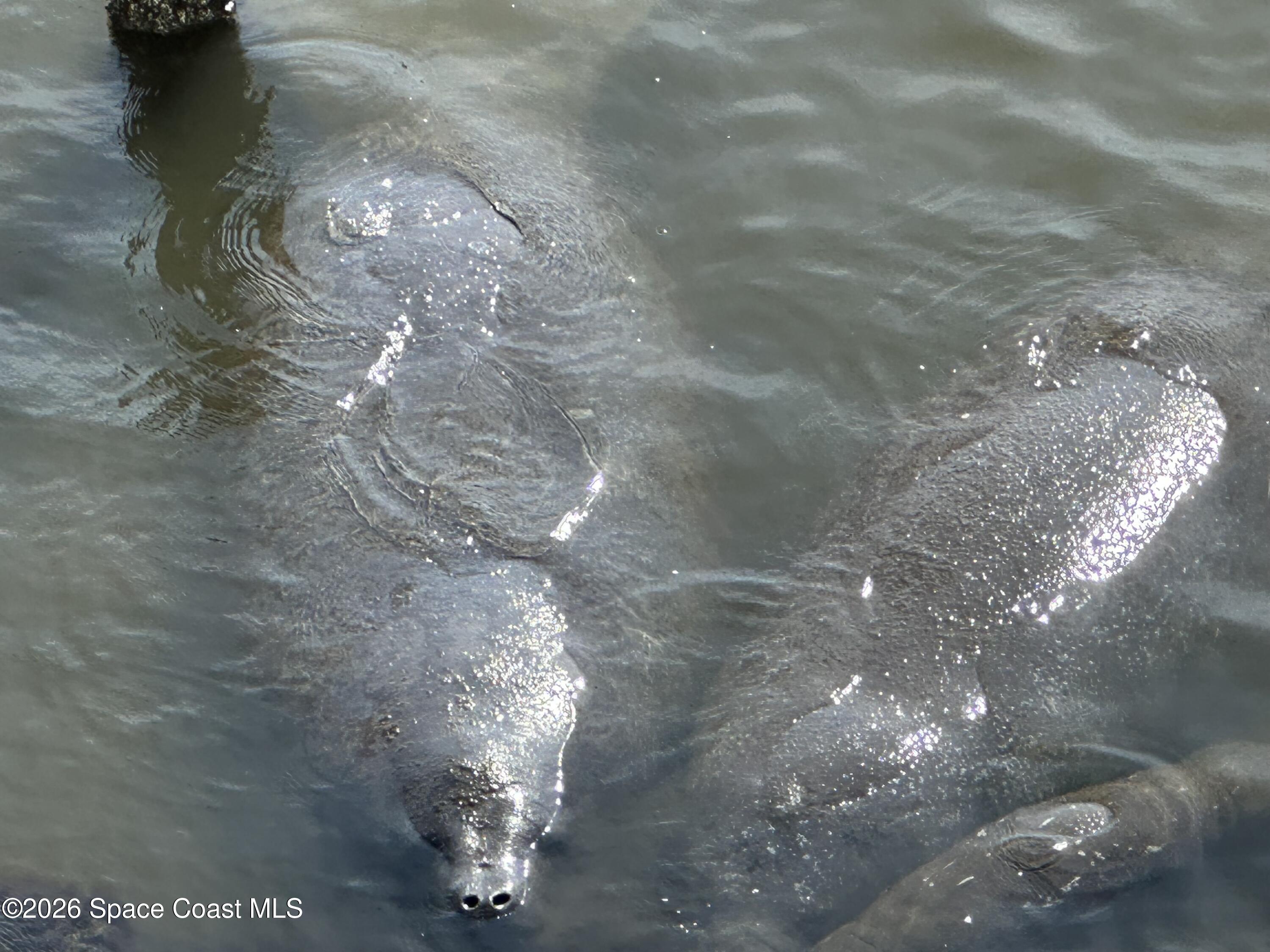 1805 Riverside Drive, Unit 302 Titusville, FL 32780 - Photo 13 of 49 Neighbors