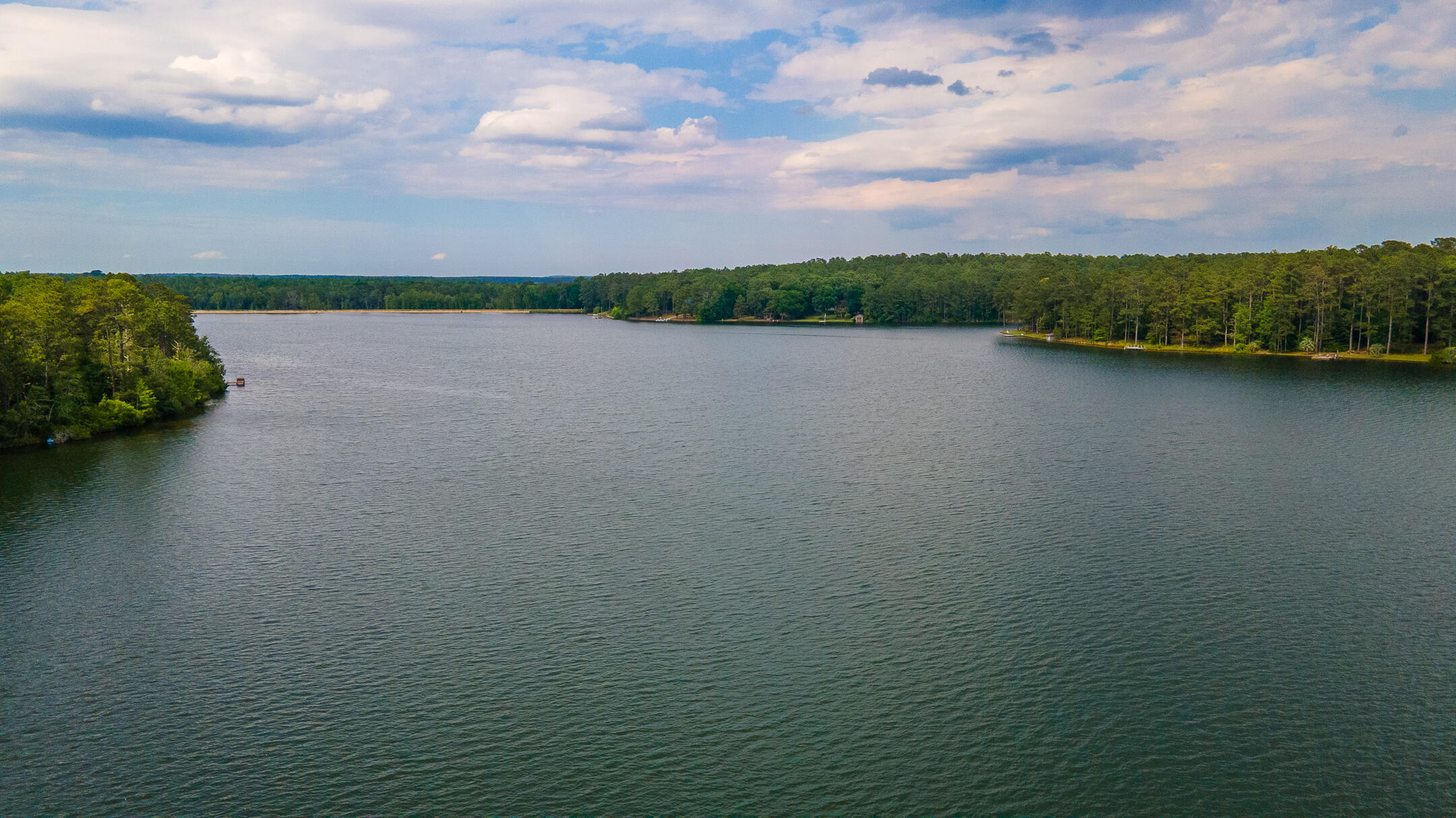 1049 Edisto Lake Road Wagener, SC 29164 - Photo 6 of 96