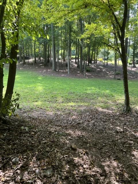 6218 Zell Miller Path Acworth, GA 30101 - Photo 12 of 53 a backyard of a house with lots of green space