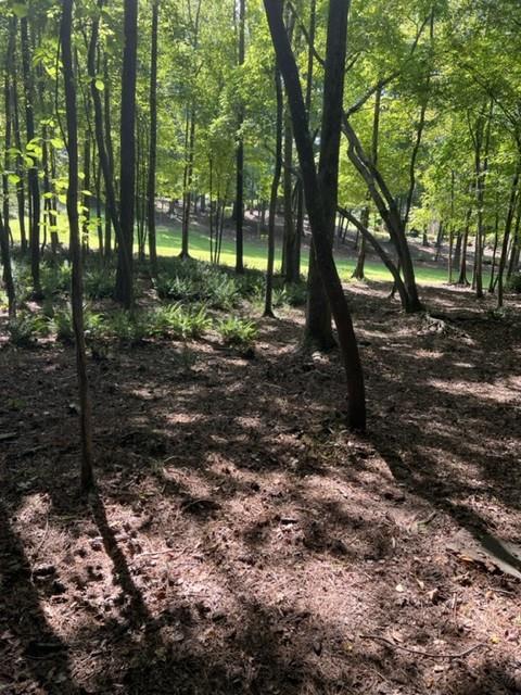 6218 Zell Miller Path Acworth, GA 30101 - Photo 13 of 53 a view of a tree in a yard