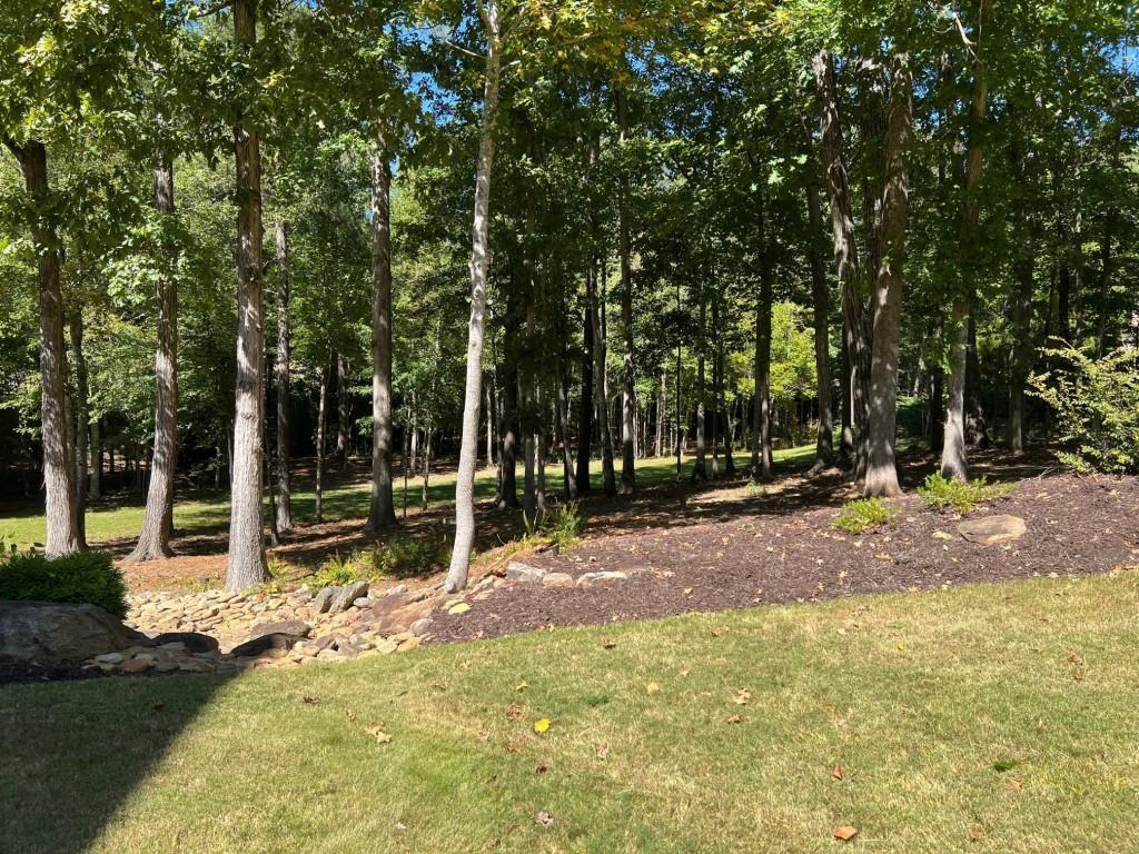 6218 Zell Miller Path Acworth, GA 30101 - Photo 14 of 53 a view of a park with tree s
