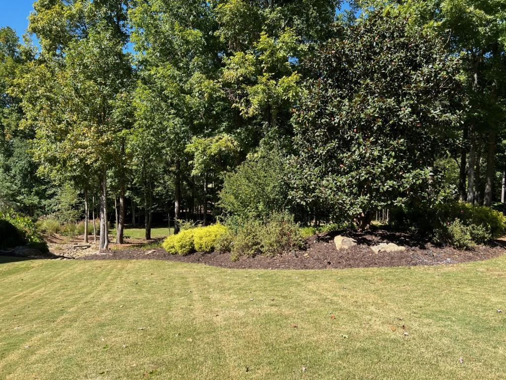 6218 Zell Miller Path Acworth, GA 30101 - Photo 15 of 53