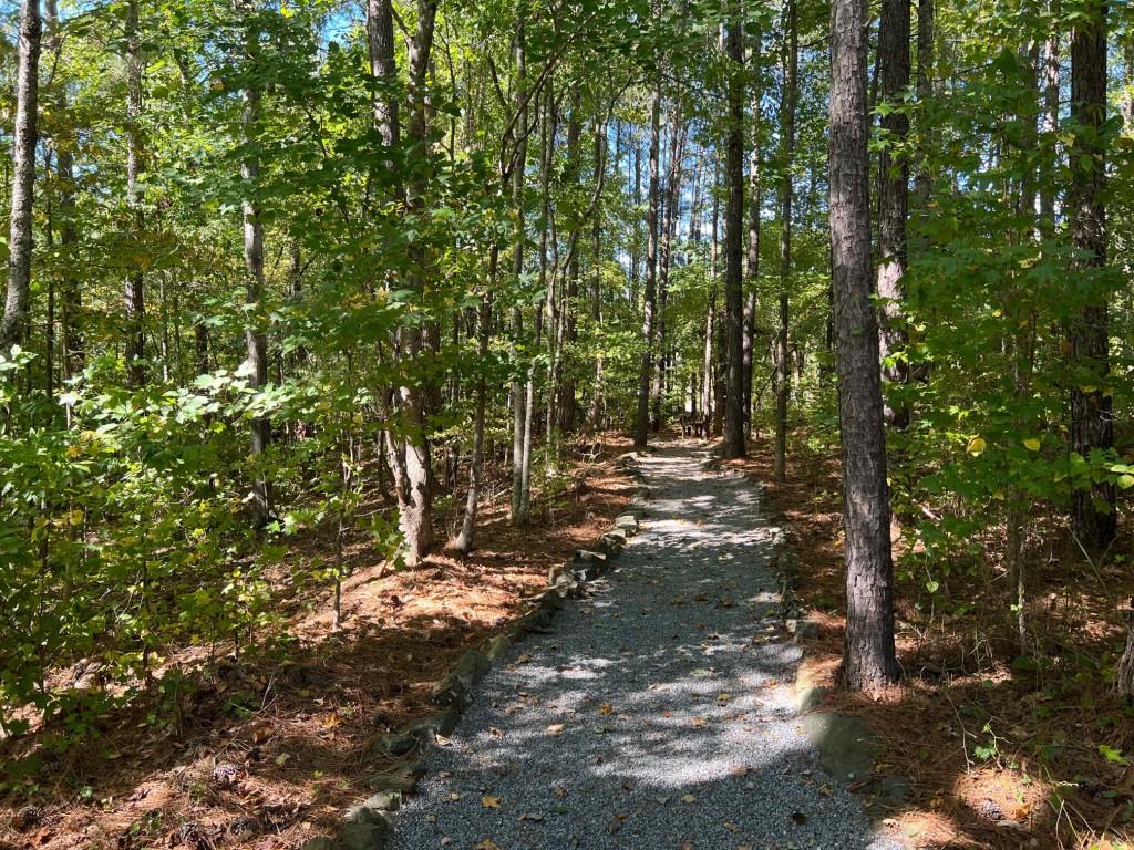 6218 Zell Miller Path Acworth, GA 30101 - Photo 20 of 53