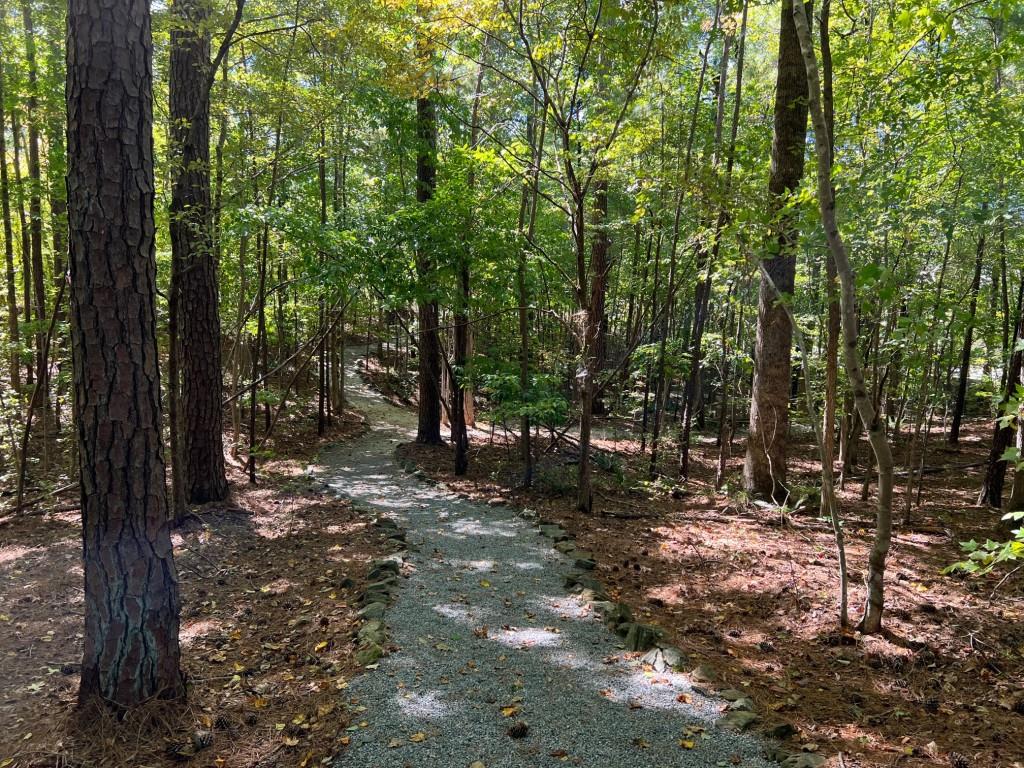 6218 Zell Miller Path Acworth, GA 30101 - Photo 21 of 53 a view of a forest filled with trees