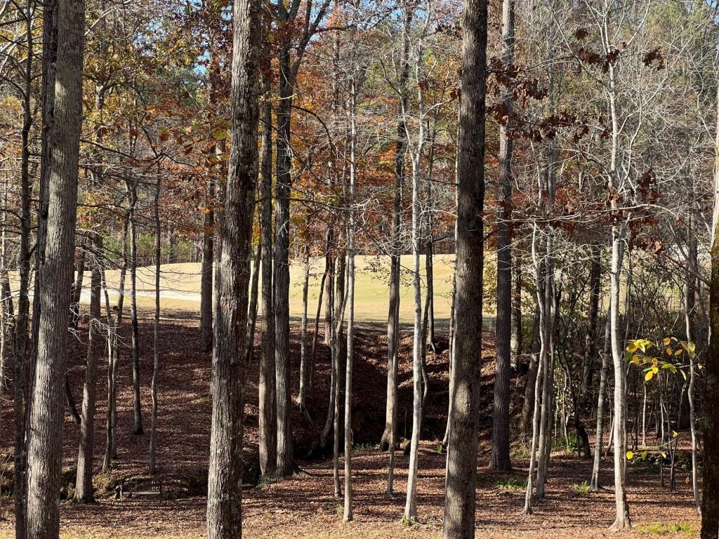 6218 Zell Miller Path Acworth, GA 30101 - Photo 25 of 53