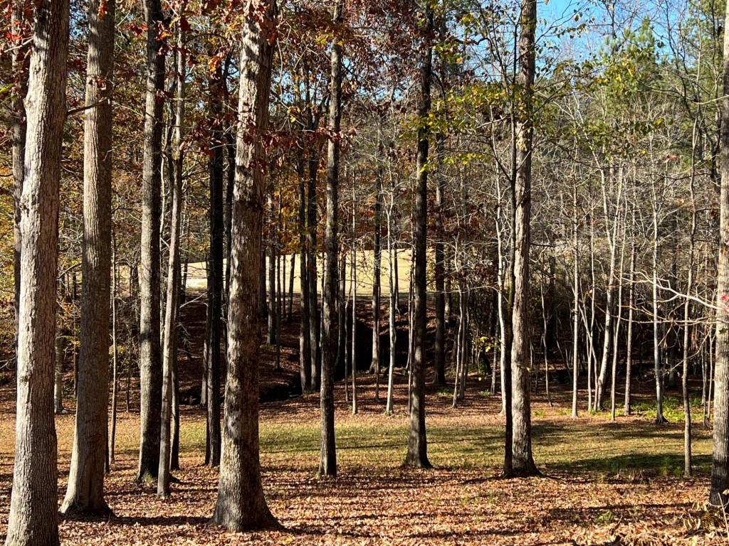 6218 Zell Miller Path Acworth, GA 30101 - Photo 26 of 53 a view of a park with swings