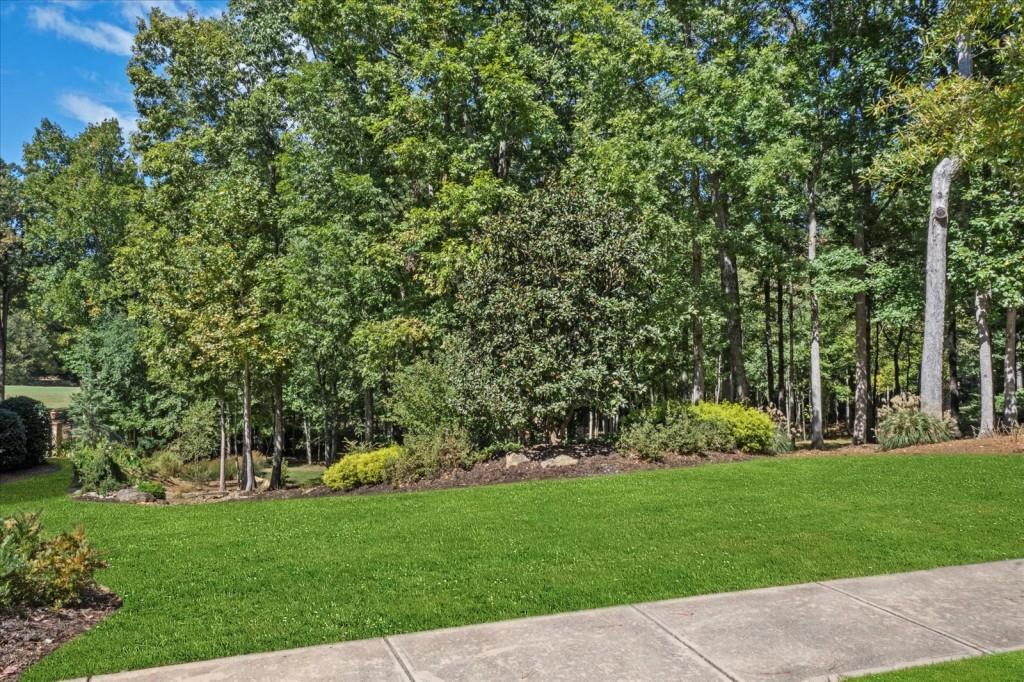 6218 Zell Miller Path Acworth, GA 30101 - Photo 52 of 53