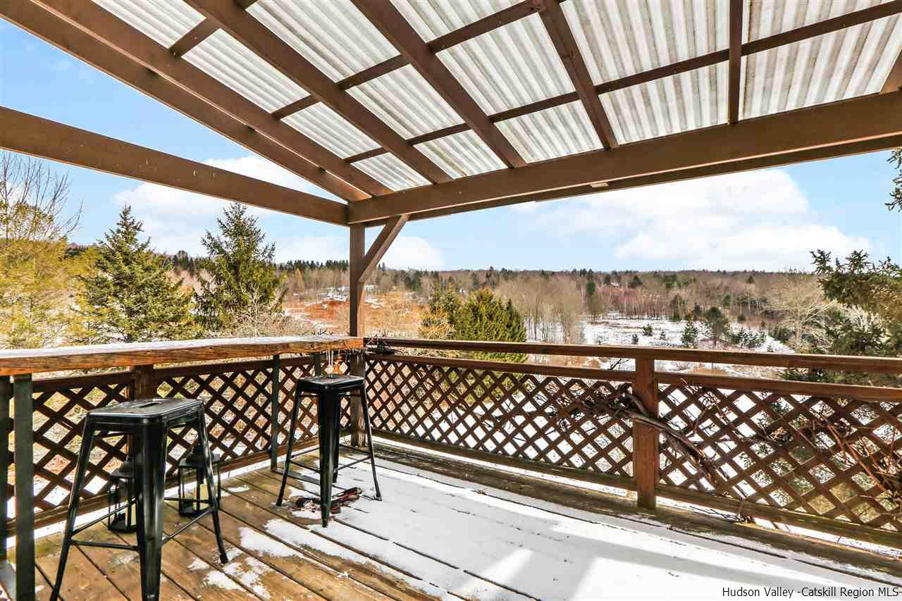 1666 Little Red Kill Road Fleischmanns, NY 12430 - Photo 24 of 27 Photo 24