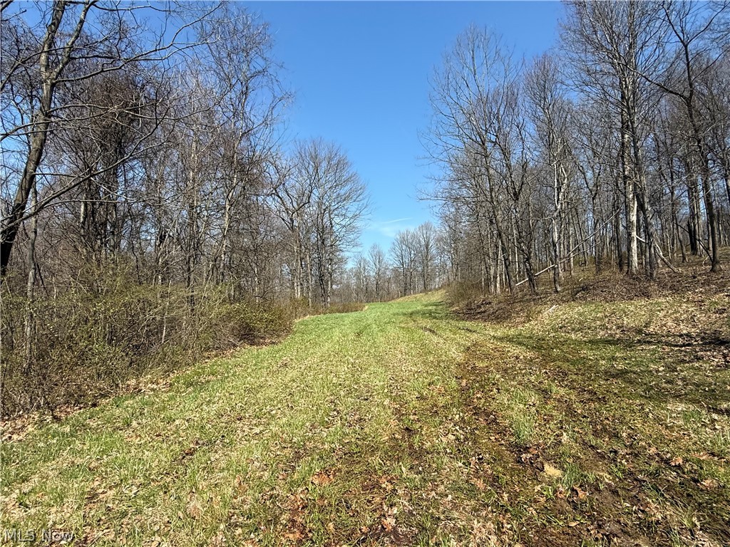 0 Kragel Road Richmond, OH 43944 - Photo 20 of 31