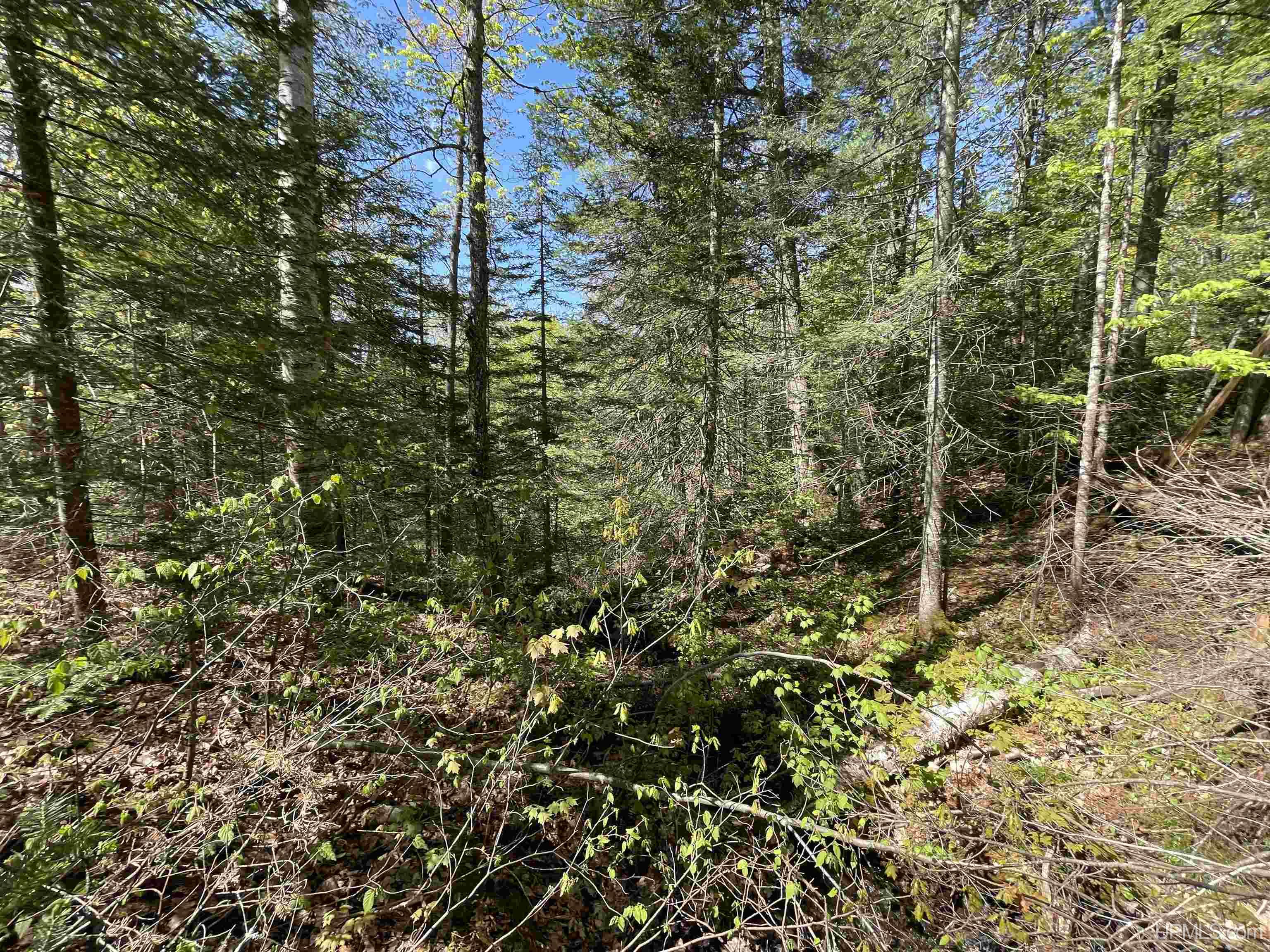 2546 Co Road Ishpeming, MI 49849 - Photo 45 of 53