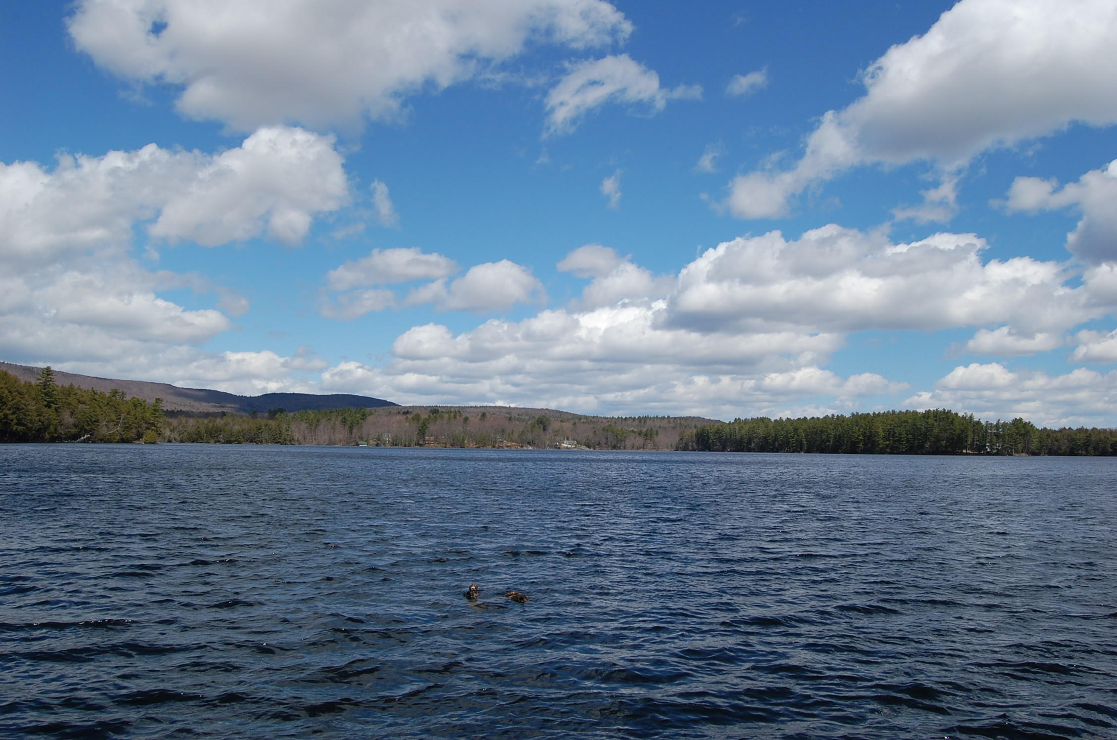 230 Porcupine Ridge Road Mount Vernon, ME 04352 - Photo 4 of 62 DSC_7698 2