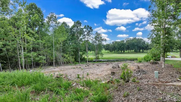 a view of a park with a tree