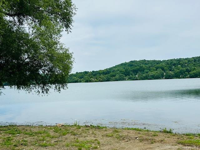 15 Roanoke Road Patterson, NY 12563 - Photo 36 of 48