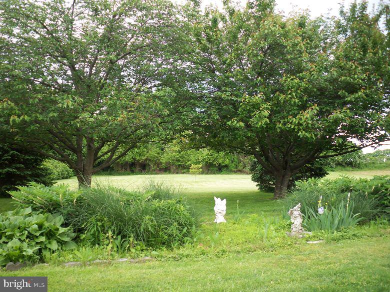 182 Supervisors Road Lancaster, PA 17603 - Photo 4 of 6